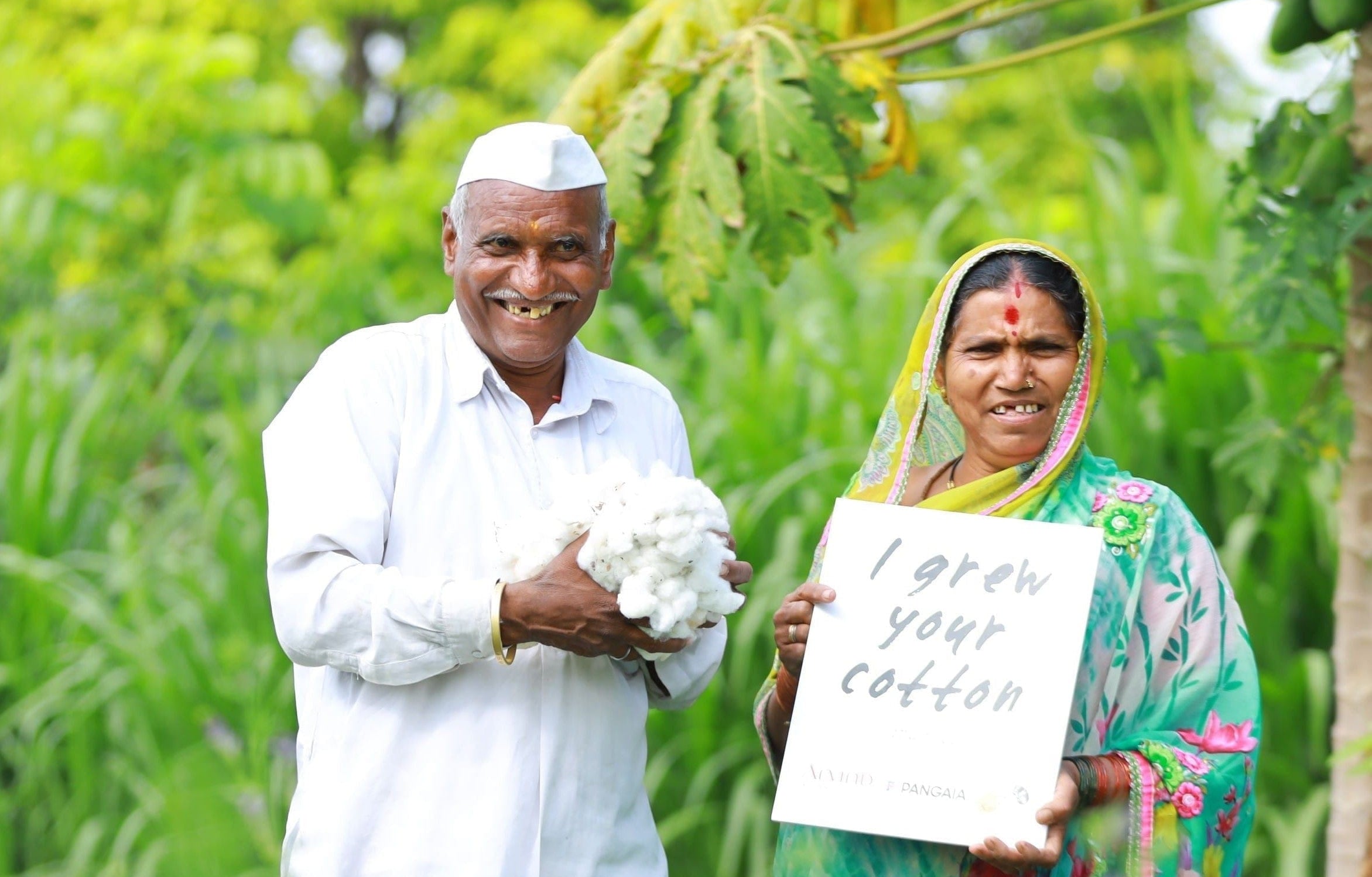Smiling cotton farmers in lush field. Man holds raw white cotton. Woman in colorful saree holds 'I grew your cotton' sign