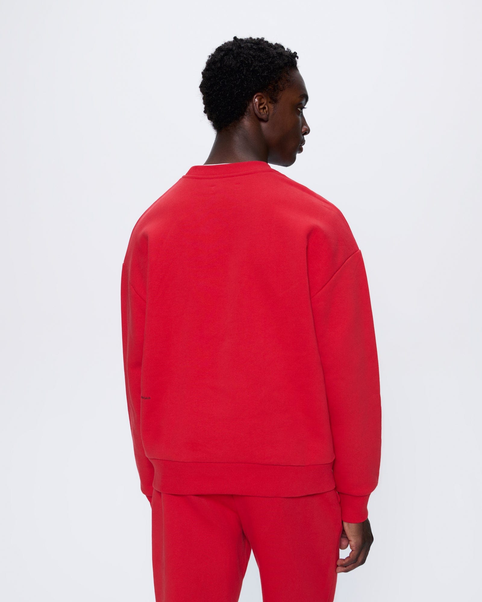 365_HEAVYWEIGHT_SWEATSHIRT_GOJI_RED_MENS_BACK
