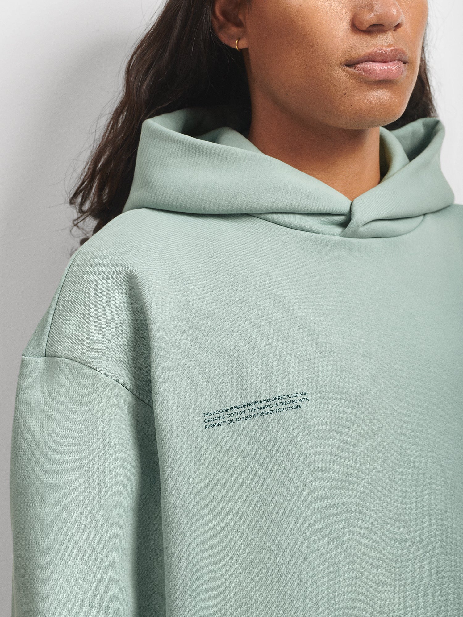 365_Heavyweight_Recycled_and_Organic_Cotton_Hoodie_with_Snap_Eucalyptus_Blue_Male-3