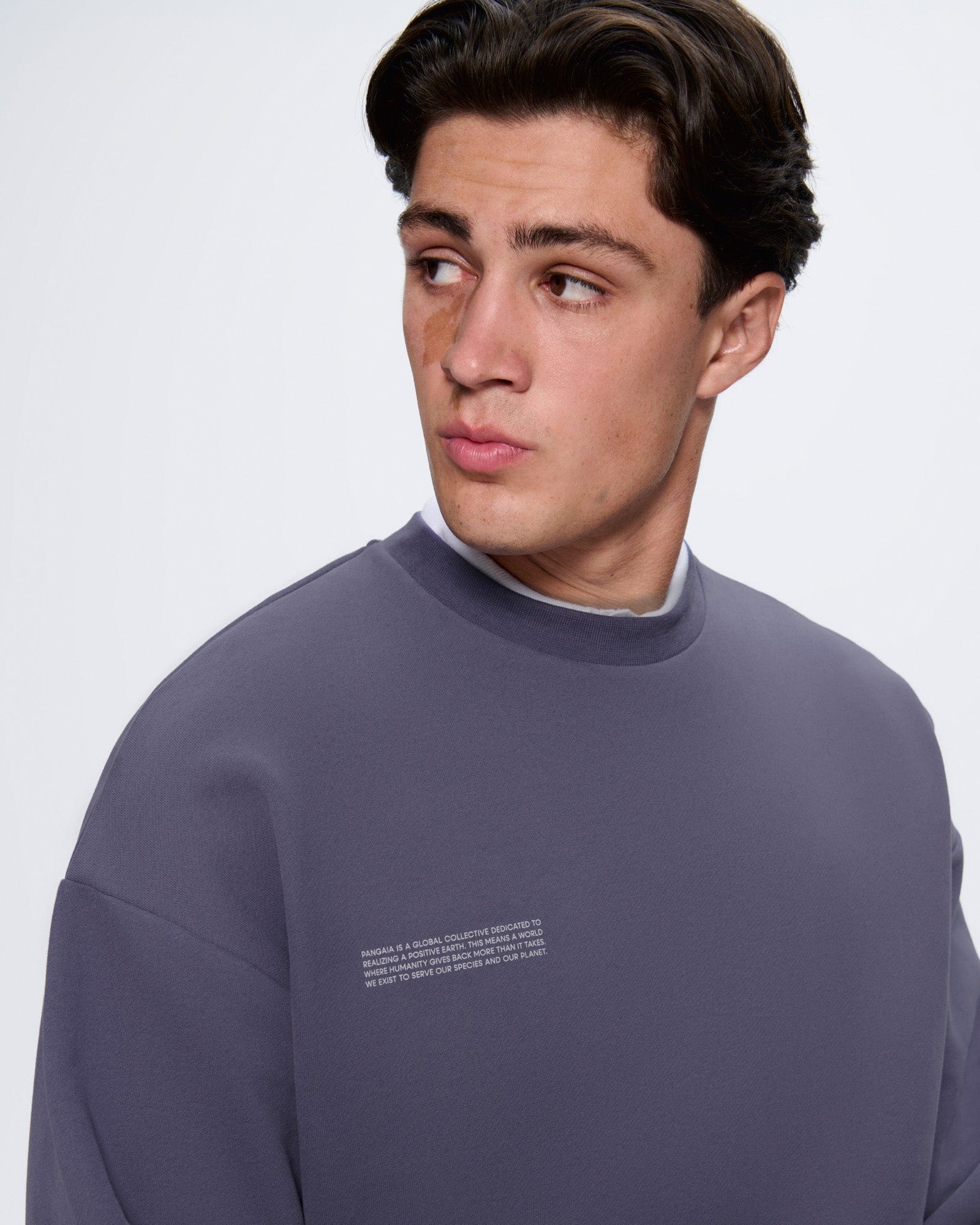 365_MIDWEIGHT_SWEATSHIRT_SLATE_BLUE_MENS_BACK