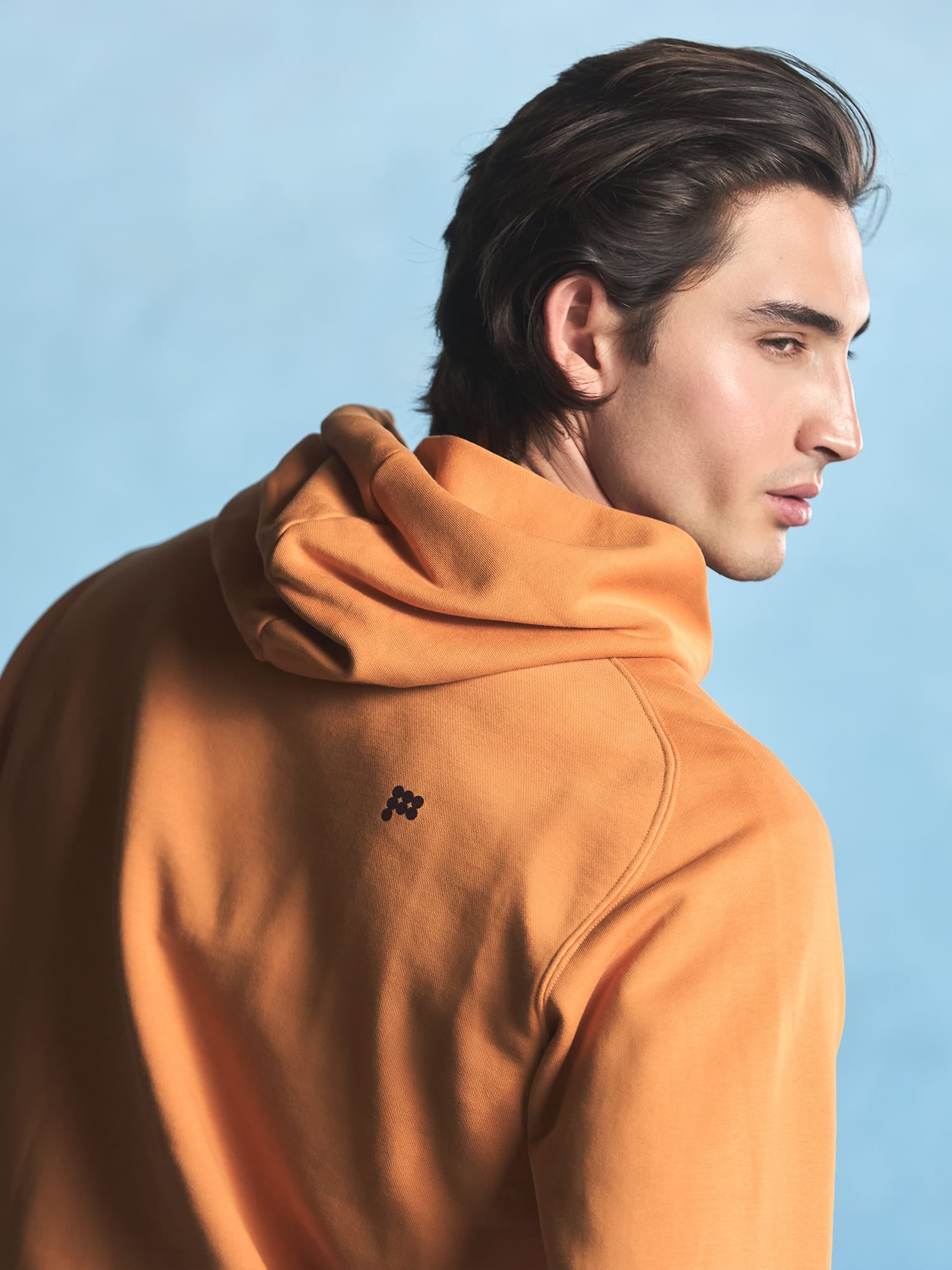 Mens Midweight Logo Hoodie—Burnt Horizon