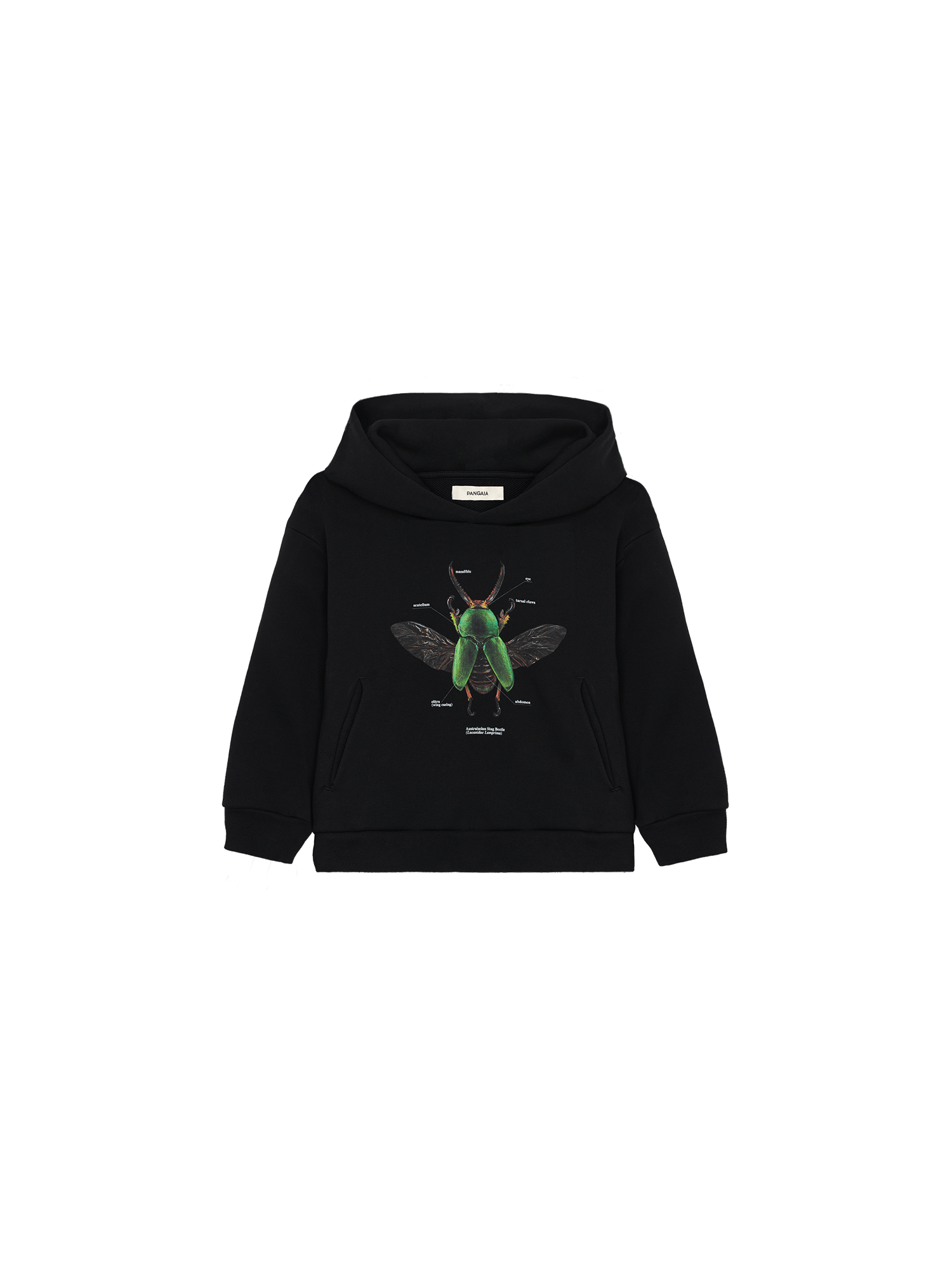 Kids-Levon-Biss-Saw-Tooth-Beetle-Hoodie-Black-packshot-3