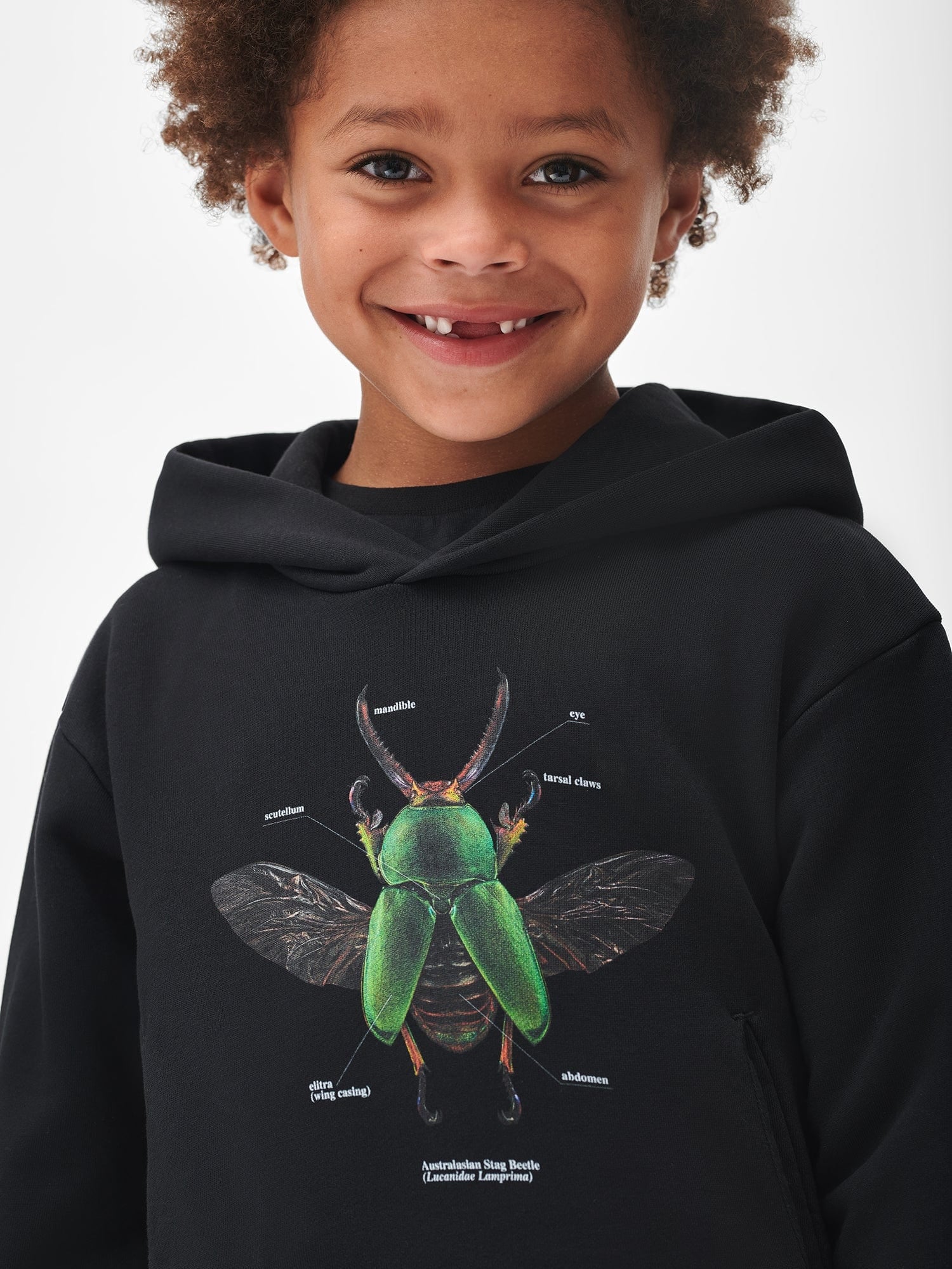 Kids-Levon-Biss-Saw-Tooth-Beetle-Hoodie-Black-4