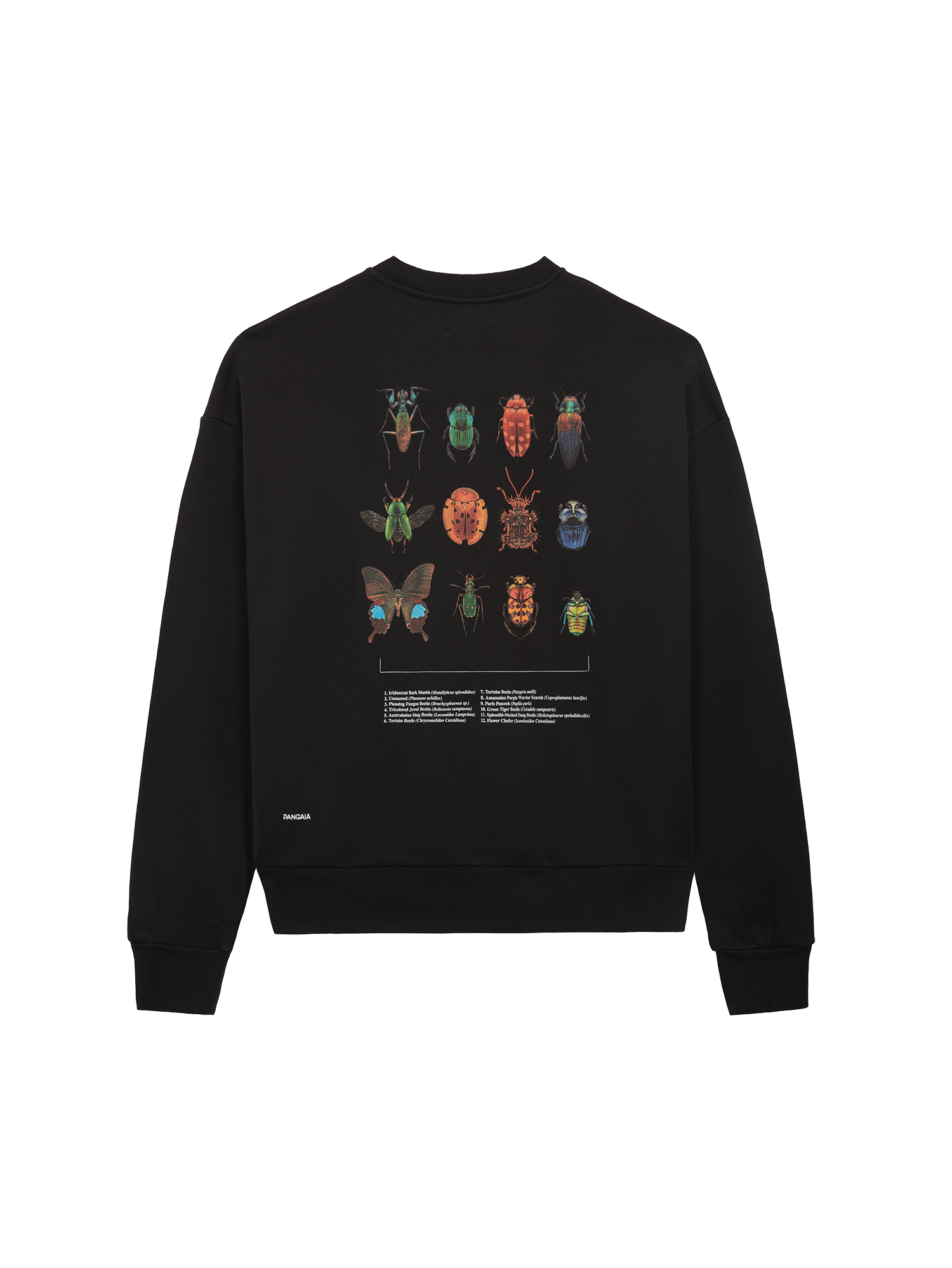 Levon-Biss-Entomologist-Sweatshirt-Black-packshot-3