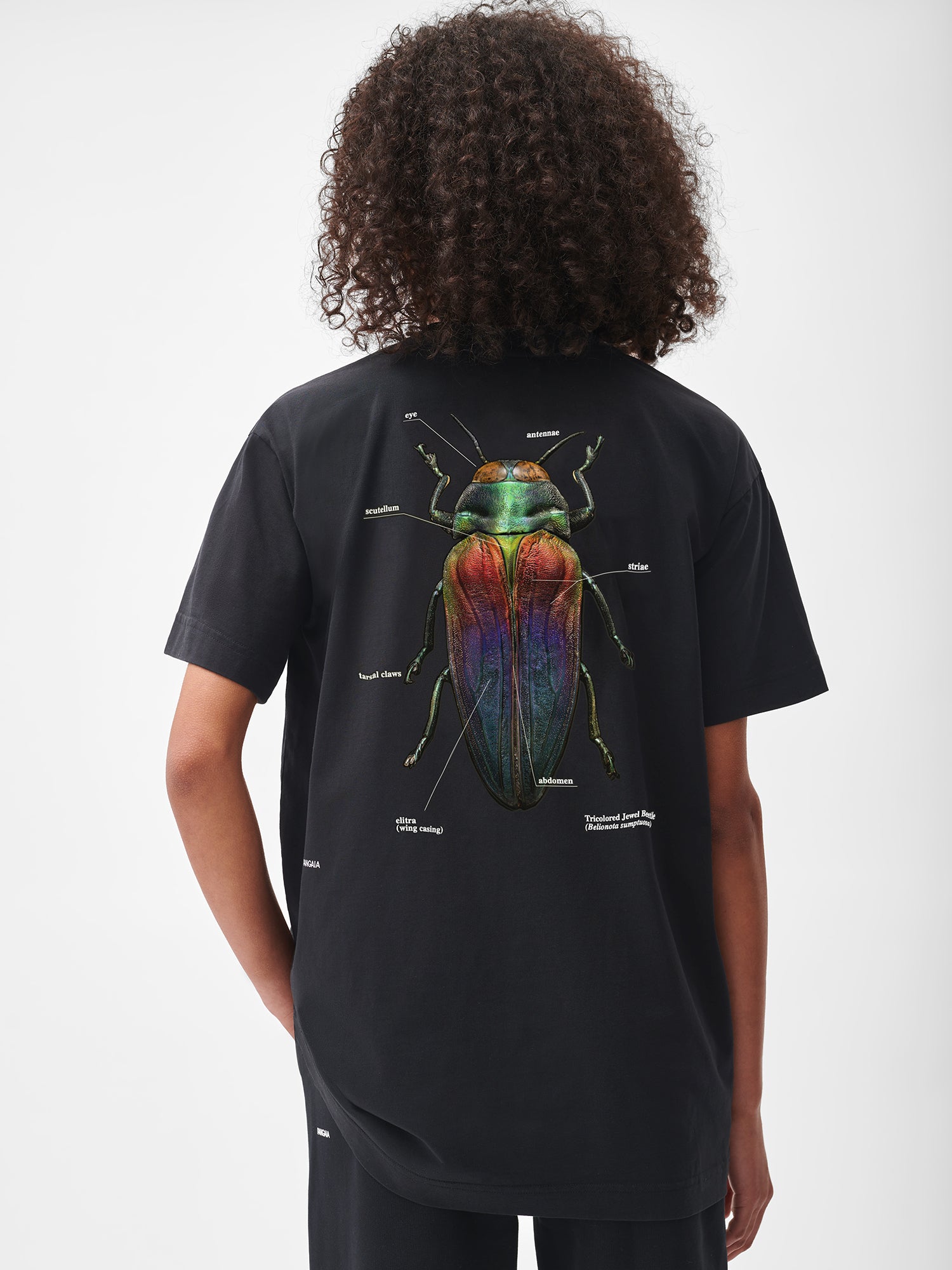 Levon-Biss-Splendid-Necked-Beetle-T-Shirt-Black-Model-Female-2