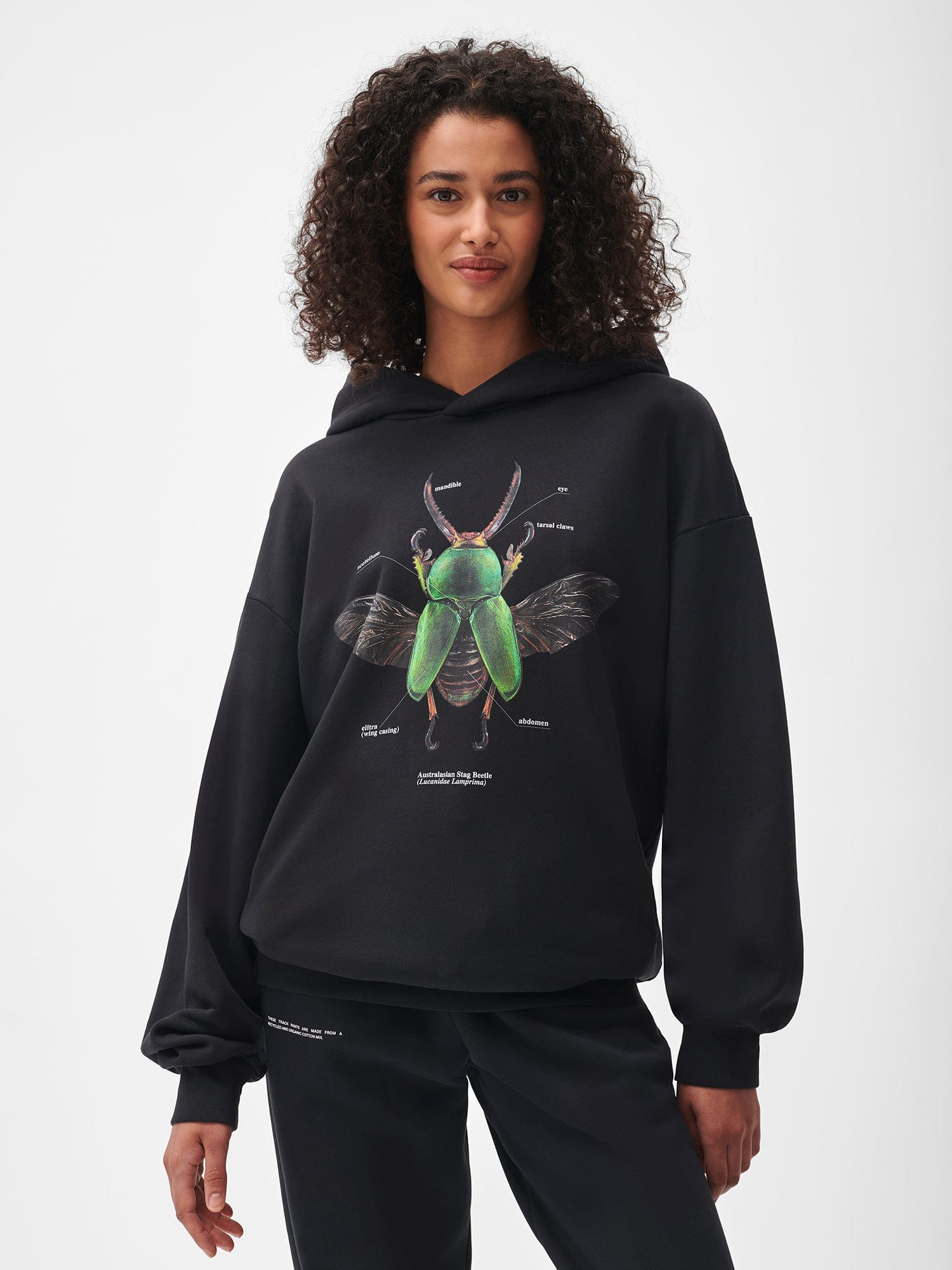 Pangaia X Levon Biss Sawtooth Beetle Hoodie - Black