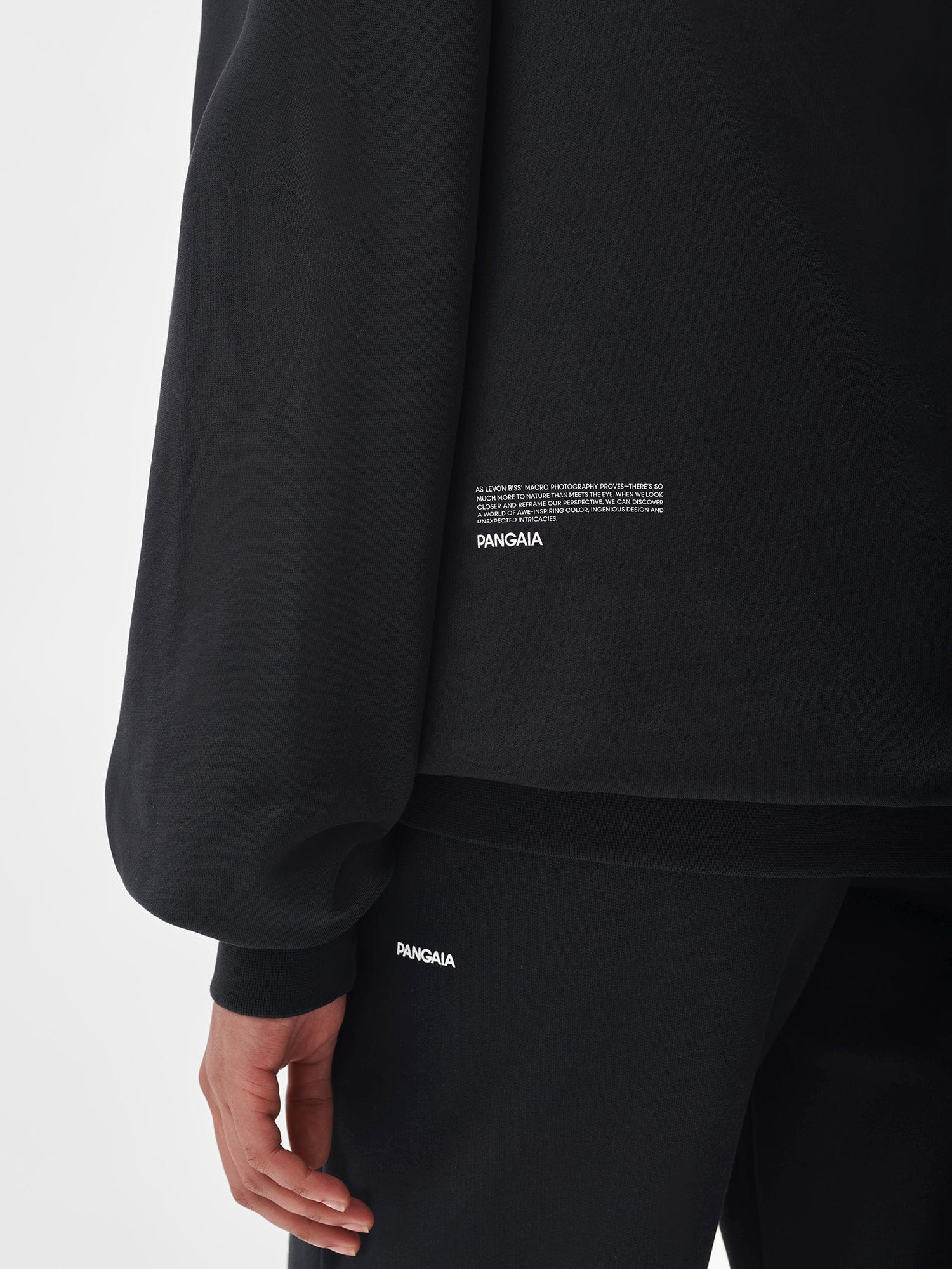 PANGAIA X Levon Biss Sawtooth Beetle Hoodie—black