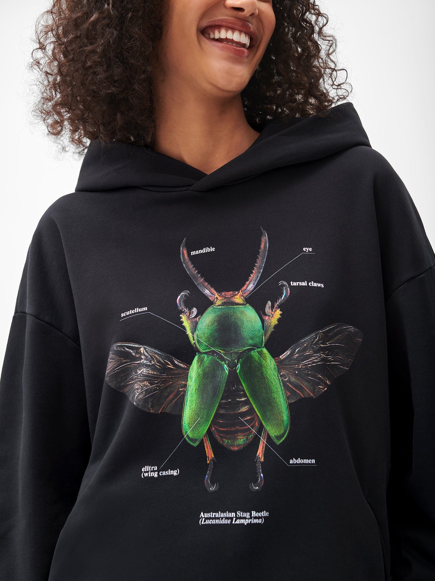 PANGAIA X Levon Biss Sawtooth Beetle Hoodie black