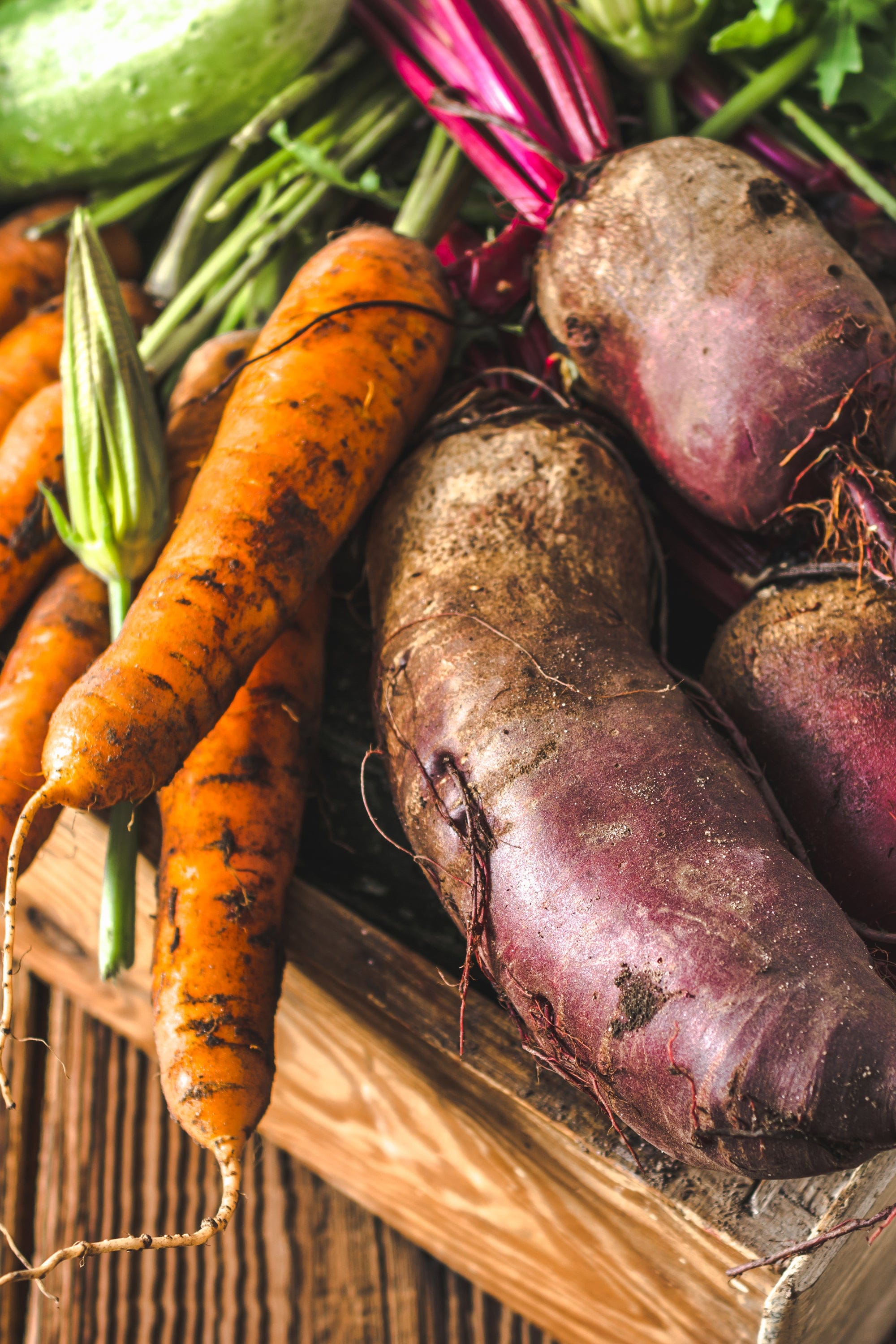 Vibrant fresh unwashed orange carrots, dark purple beets, green cucumber, and leafy tops in a rustic wood crate