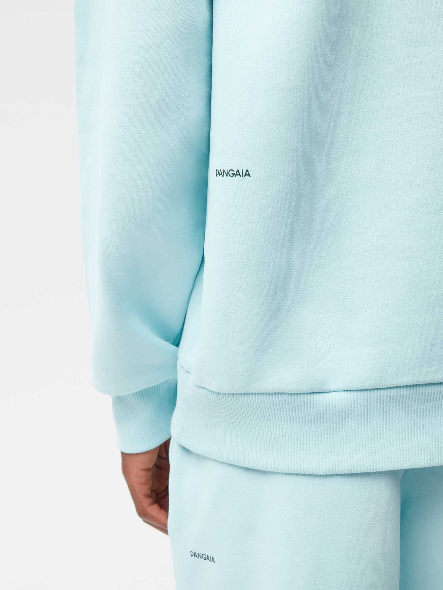 Signature Hoodie—powder blue male