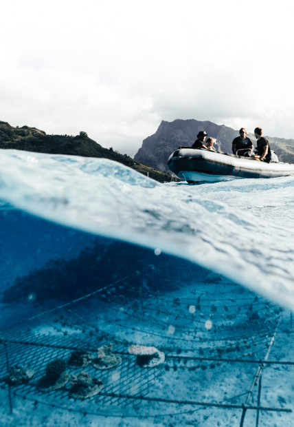 Split view: clear blue ocean underwater with coral nursery, surface with people in grey inflatable boat, tropical mountains