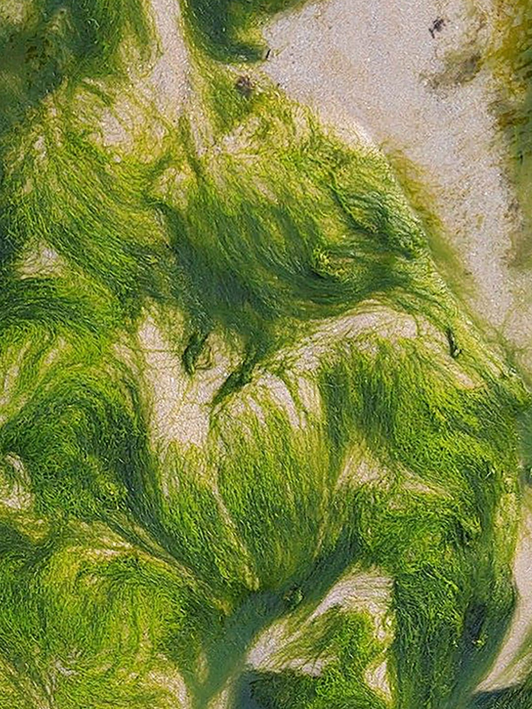 Vibrant lime green flowing textured knit fabric with organic swirling pattern. Premium garment close-up on beige ground