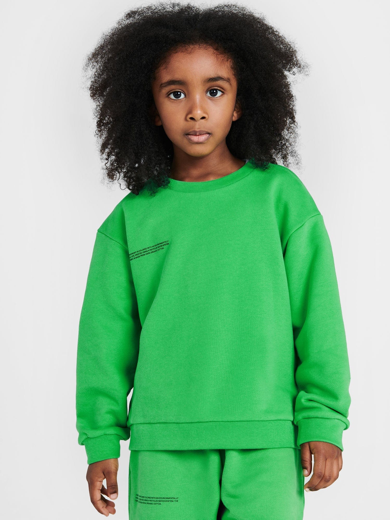 Kids Organic Cotton Sweatshirt Jade Green Pangaia