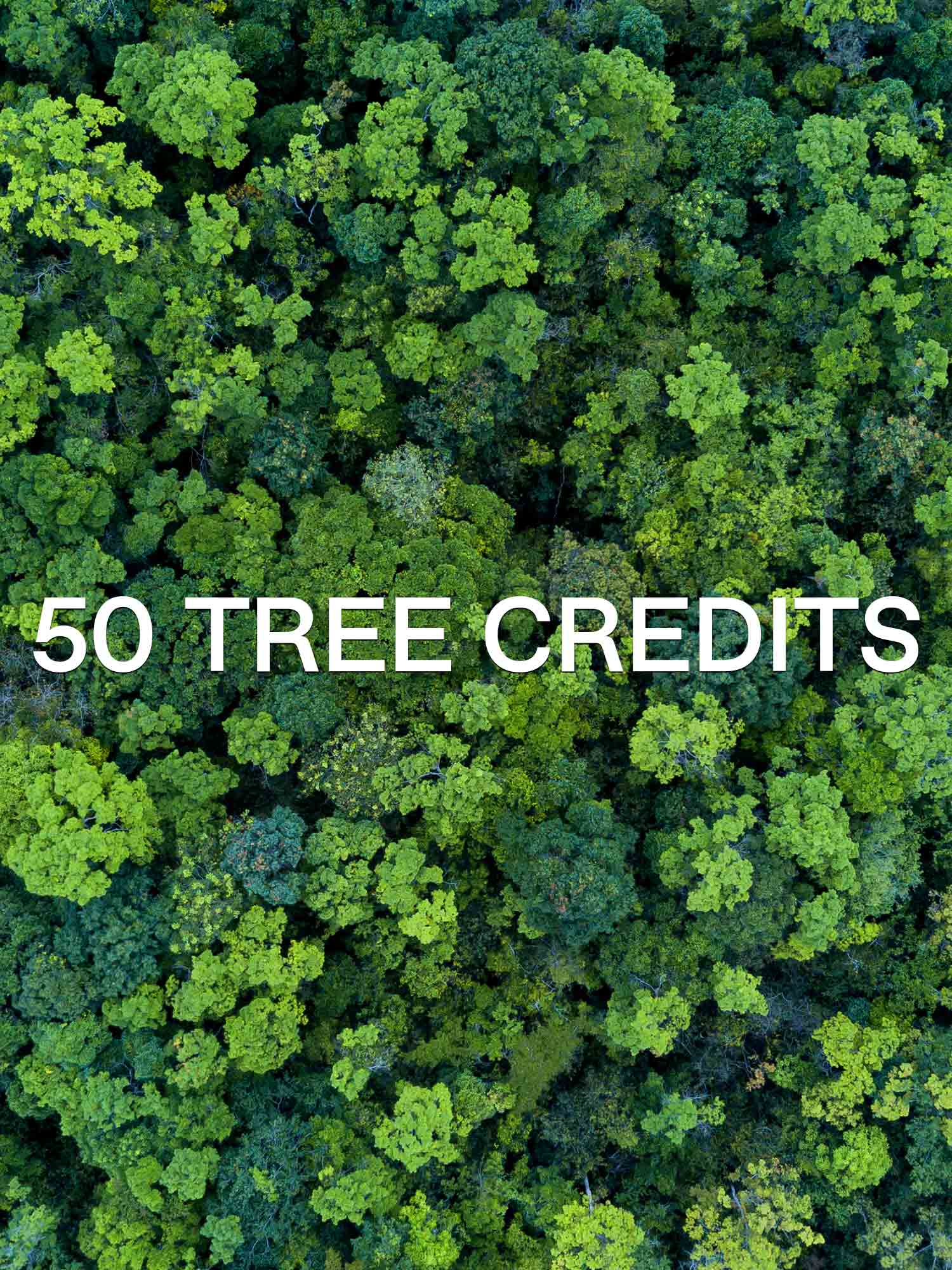 Pangaia Tree Credits 50